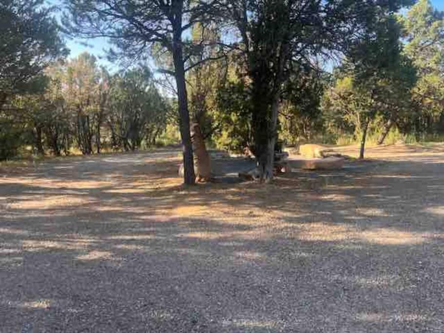 Casa vacanze A Cozy Escape In Tijeras-hot Tub-game Room-pet Friendly!